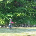 & ホテル 3*