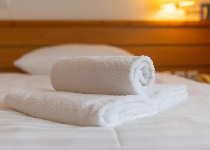 & ホテル リュブリャナ