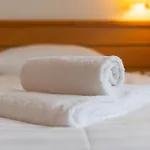 & فندق ليوبليانا